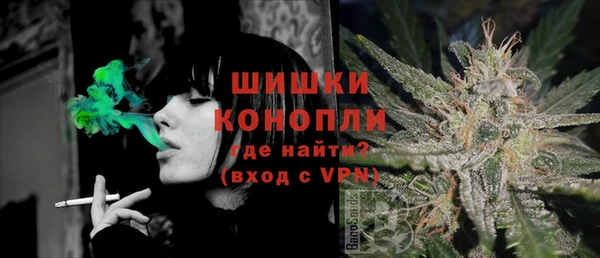 амф Арсеньев
