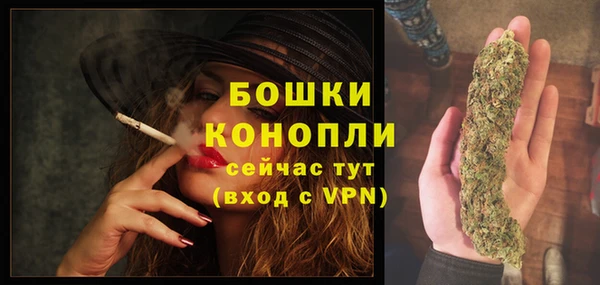 амф Арсеньев