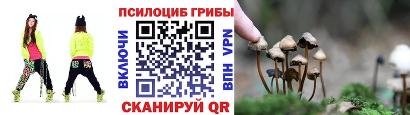 даркнет сайт Советск Псилоцибиновые грибы ЛСД